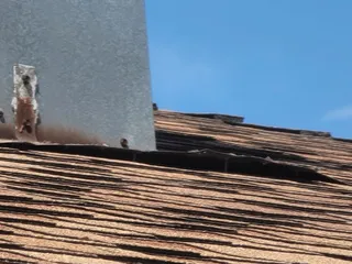 Texas Coastal Roofing and Construction