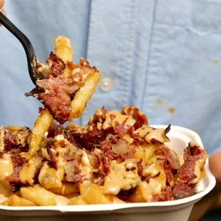 Pastrami cheese fries
