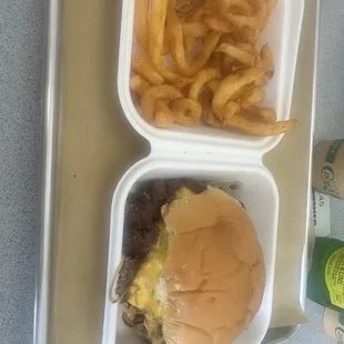 kids burger with some fries.