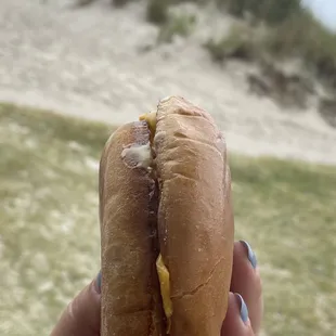 a hand holding a hot dog