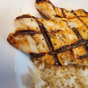Red snapper