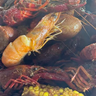 St Peters St. (Feeds 1-2)