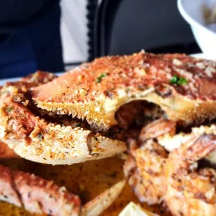 Whole Dungeness Crab