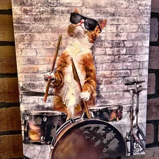 a cat playing a drum set