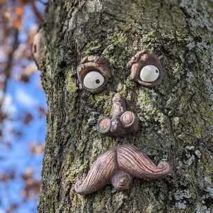 Look up!