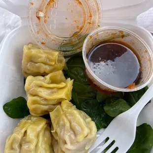 Dumplings (Choice of Steamed or Fried)