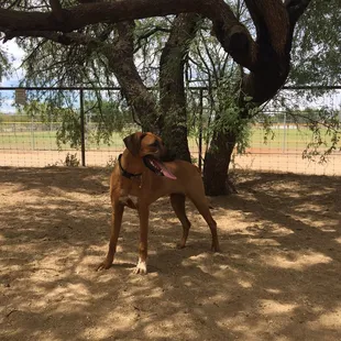 Hanging out in the shade!