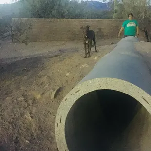 Super fun tunnels to run through!