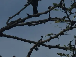 Canada Del Oro Riverfront Park