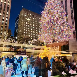 Just a few steps from the rink. Your view after you leave the bar. Not bad!