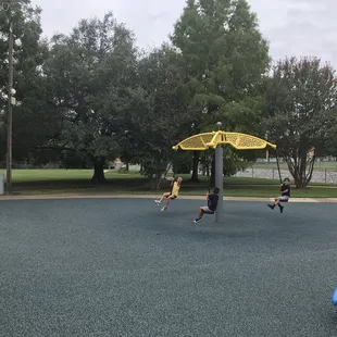 Carousel swings
