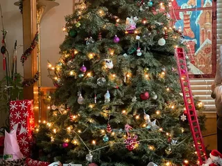 Pete's Tree World