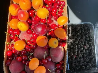 Bacchini's Farm