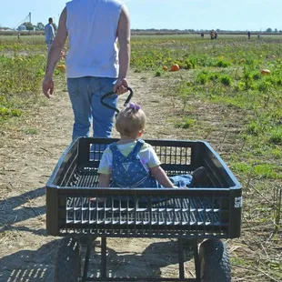 My son giving his daughter her first wagon ride in to the pumpkin patch.