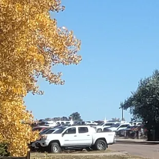 Inconsiderate Sheeple parking on private property