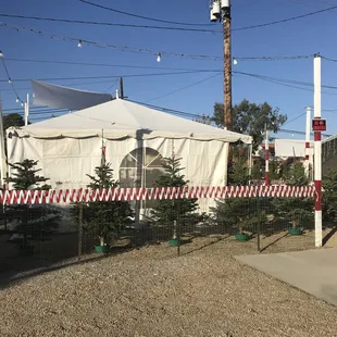 Entrance to Christmas trees, beginning with 5-6 ft range.