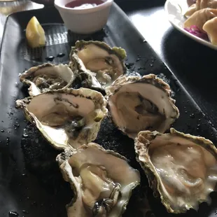 Oysters