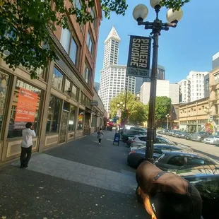 Looking toward the Smith Tower from the south