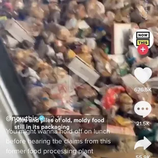 Here's all the molded food being processed to feed to the pigs