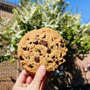 a hand holding a chocolate chip cookie