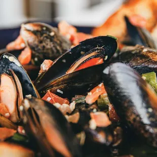 food, shellfish, mussels, oysters and mussels, oysters