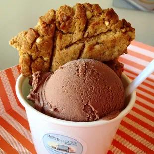 Vegan, wheat free PB cookie with Vegan Chocolate Sorbet.