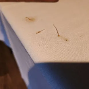 Fish bones from walleye.