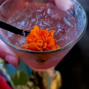  person holding a cocktail glass with a flower in it