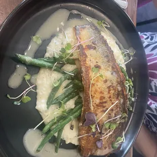 Walleye