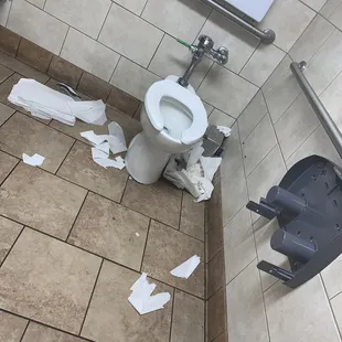 No toilet paper or liners