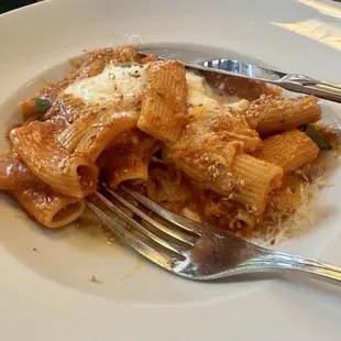 Pasta with vodka sauce