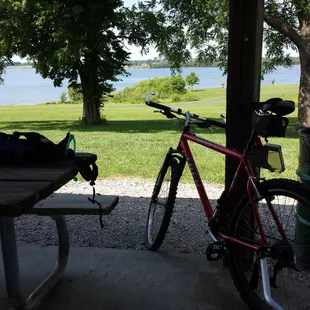 Hitt'n the Smokey &amp; David trail at Smithville with the fam, we made it to Sailboat Cove which is where this photo was taken. :-)