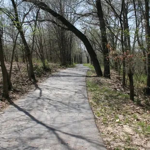 Bonebender Trail Again