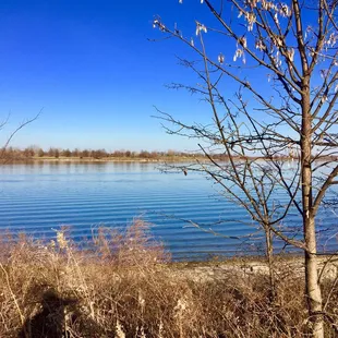 Cabin Fever Trailhead trail.  12/02/2017