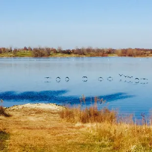 Cabin Fever Trailhead trail.  12/02/2017
