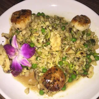 Sea Scallops