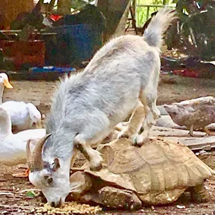 Best restaurant in Dade City!