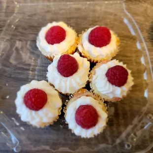Cheesecake bites
