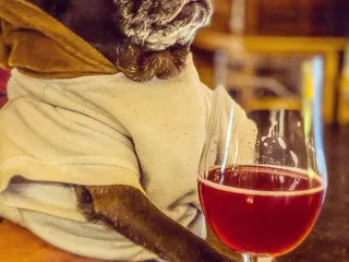 Brouwerij West