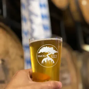 a hand holding a pint glass