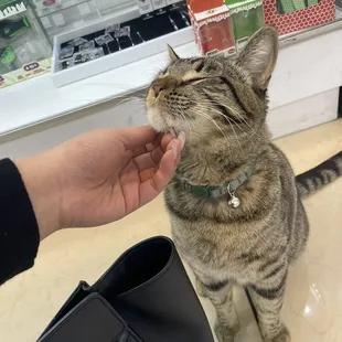 Smoky the best sales rep