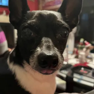 Carlos P.