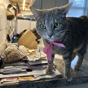 Outdoor seating area