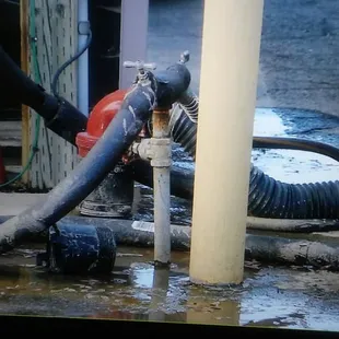 Feces on the ground over a week now and no one says anything