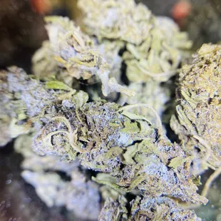 Blue Bayou Hemp "Cherry Frost"