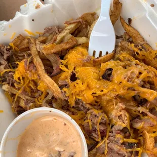 Extra Pulled pork/brisket cheese &amp; fries!
