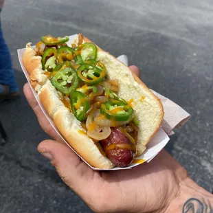 a hand holding a hot dog