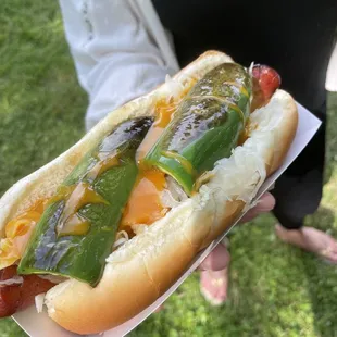 a person holding a hot dog