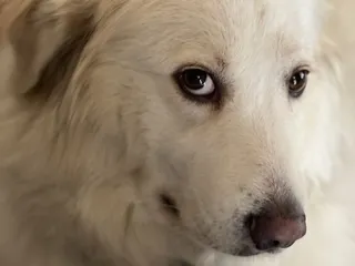 Good Karma Cigar Fort Worth