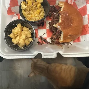 Brisket sandwich, corn casserole, and mac &amp; cheese. Featuring my cat, Diego, who happily ate the piece of brisket I dropped.